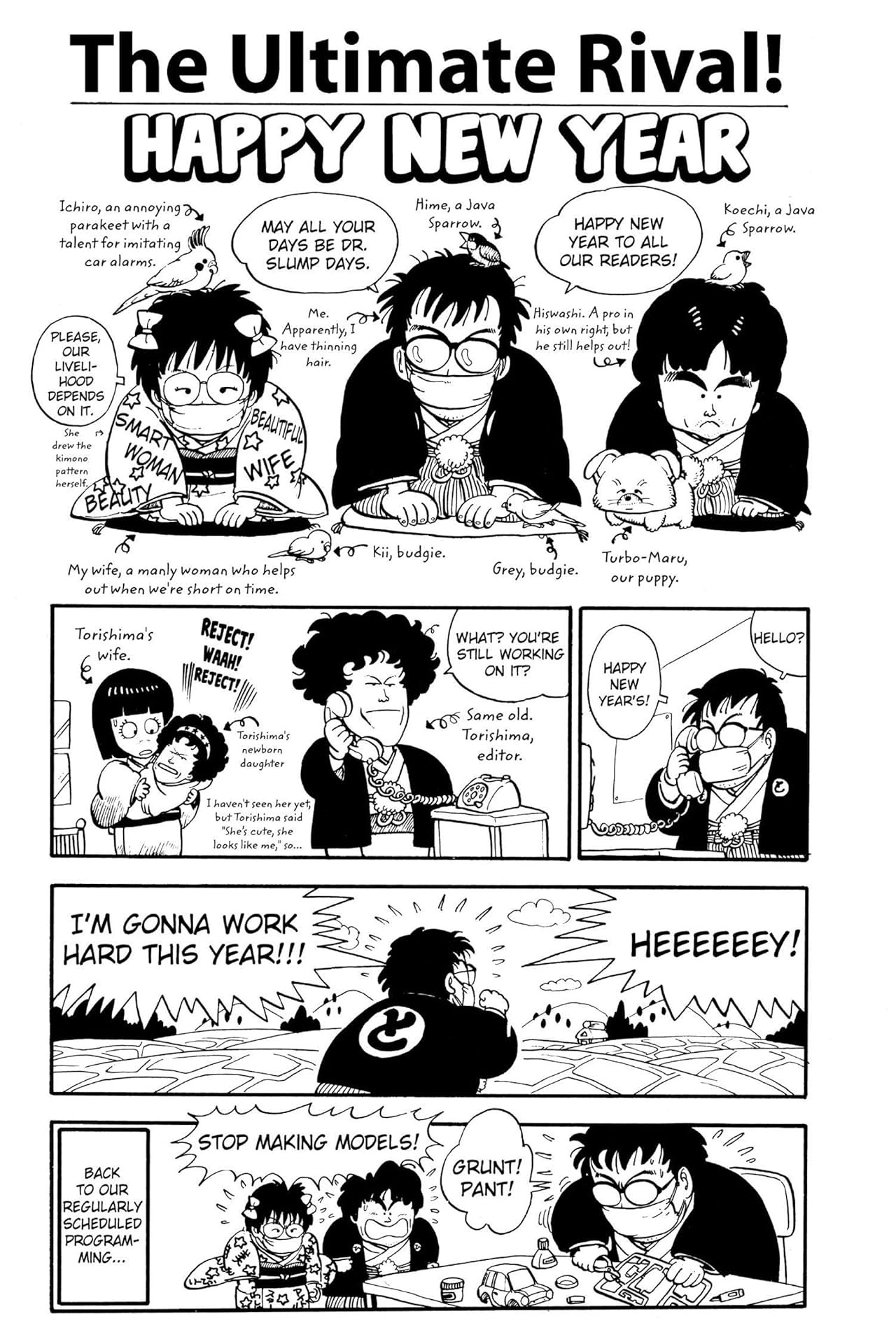 Dr. Slump Vol. 13