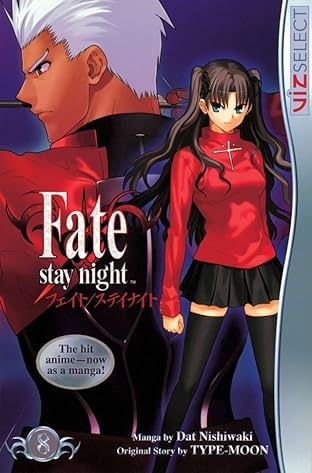 Fate/stay night Vol. 8