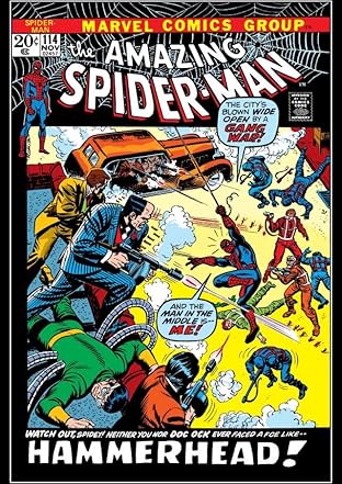 Amazing Spider-Man (1963-1998) #114