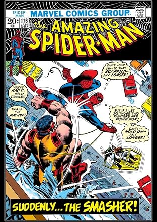 Amazing Spider-Man (1963-1998) #116