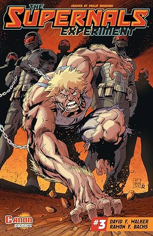 The Supernals Experiment #3