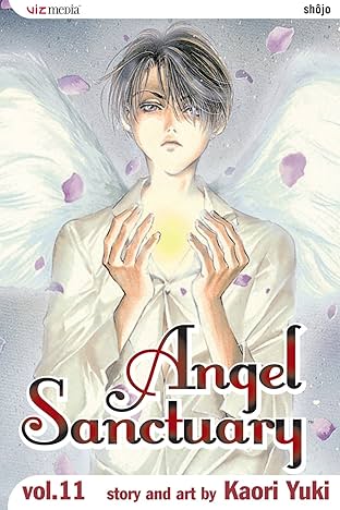 Angel Sanctuary Vol. 11
