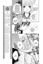 Vampire Knight Vol. 4