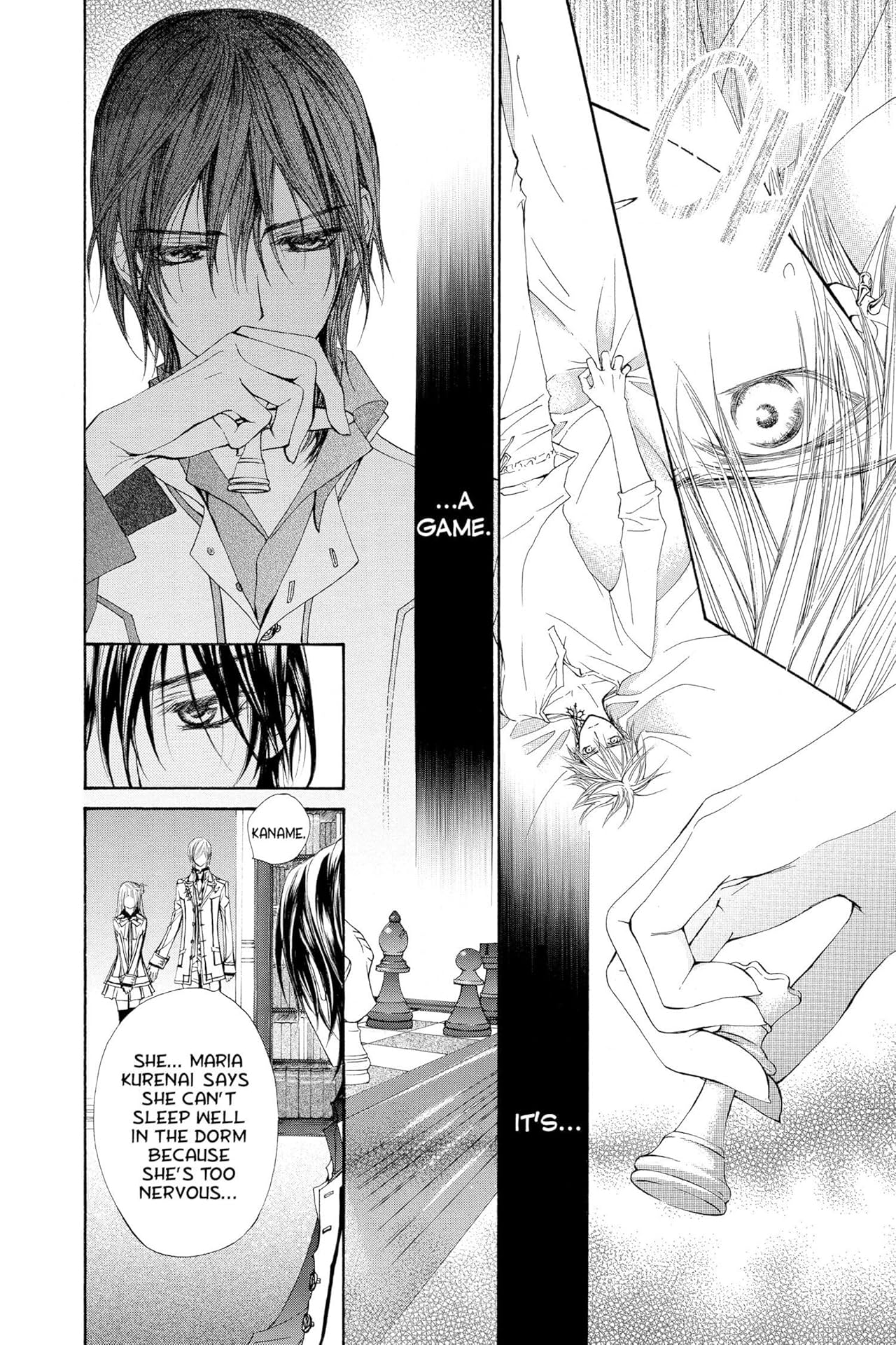 Vampire Knight Vol. 4