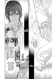 Vampire Knight Vol. 4