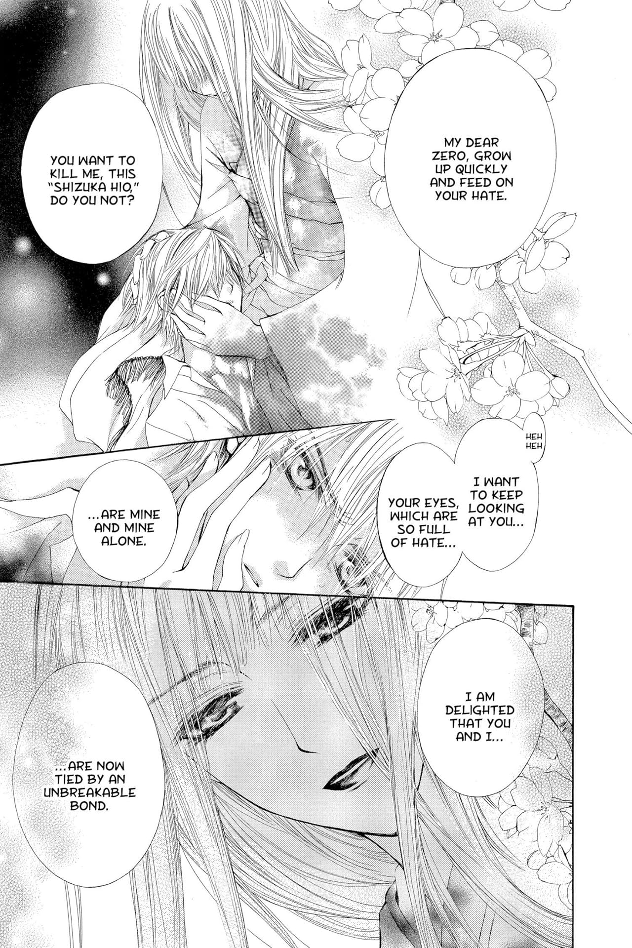 Vampire Knight Vol. 4