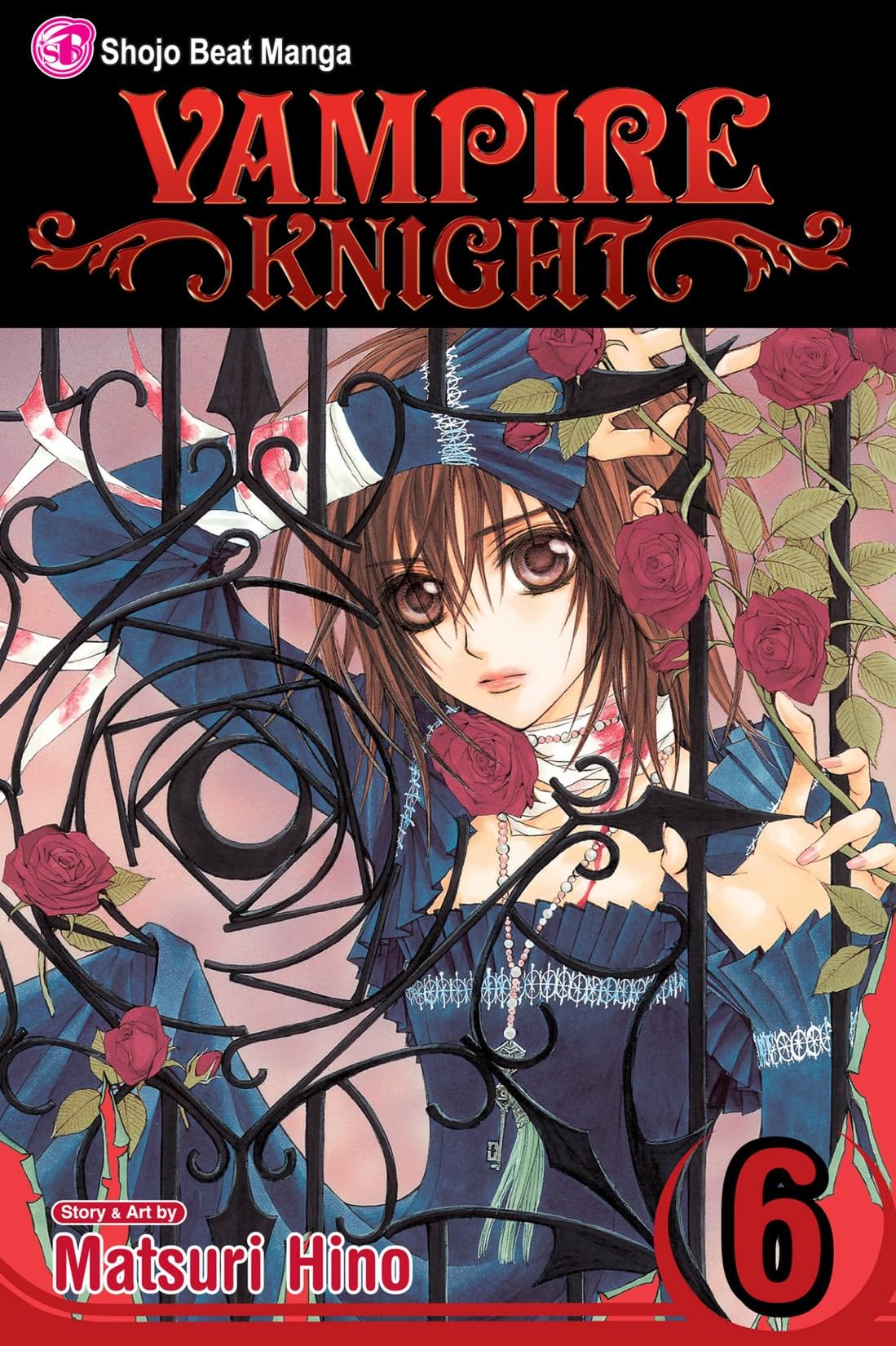 Vampire Knight Vol. 6