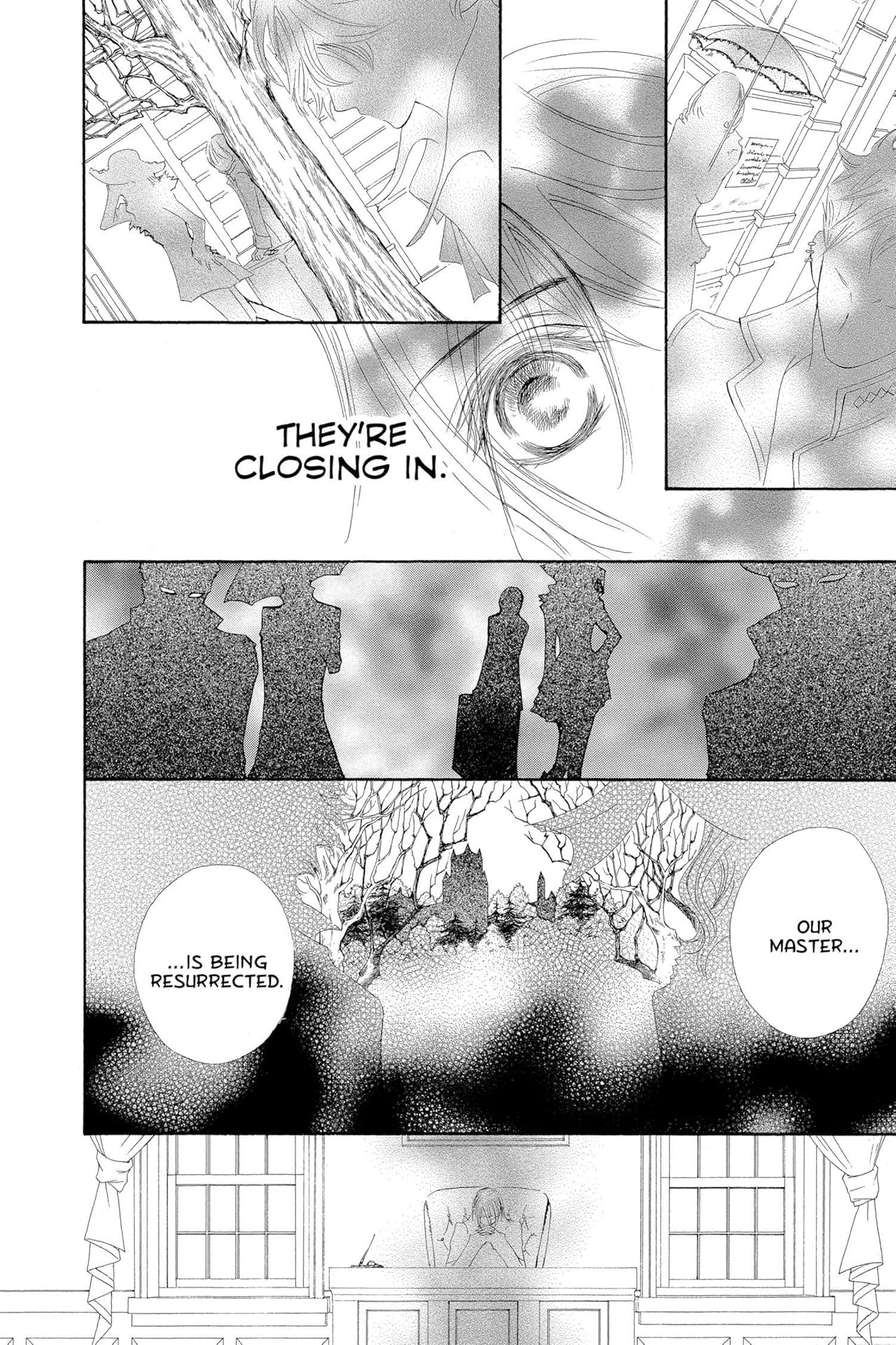 Vampire Knight Vol. 9