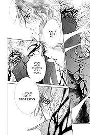 Vampire Knight Vol. 10