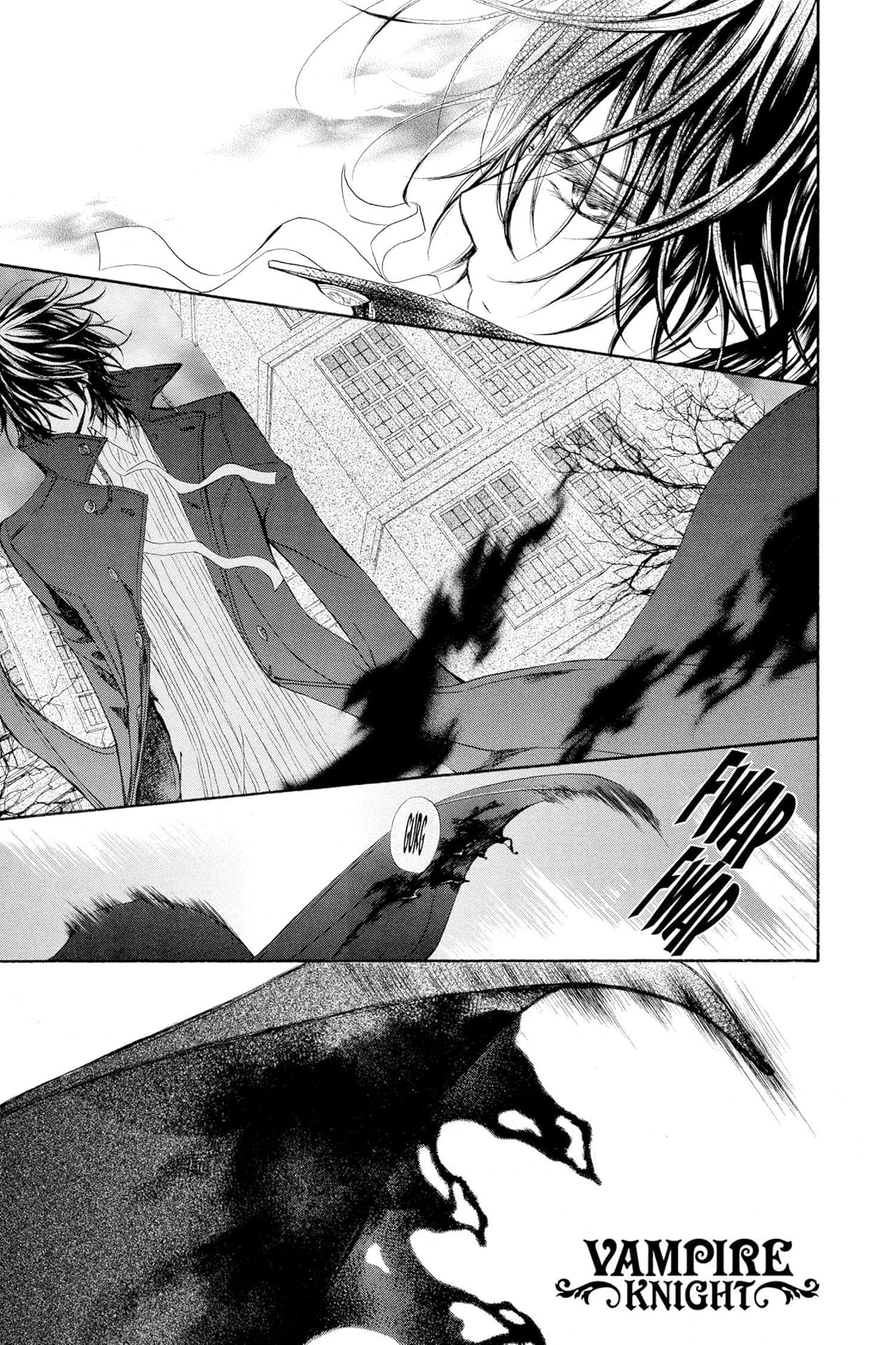 Vampire Knight Vol. 10