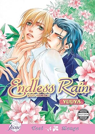 Endless Rain