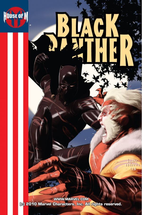 Black Panther (2005-2008) #7