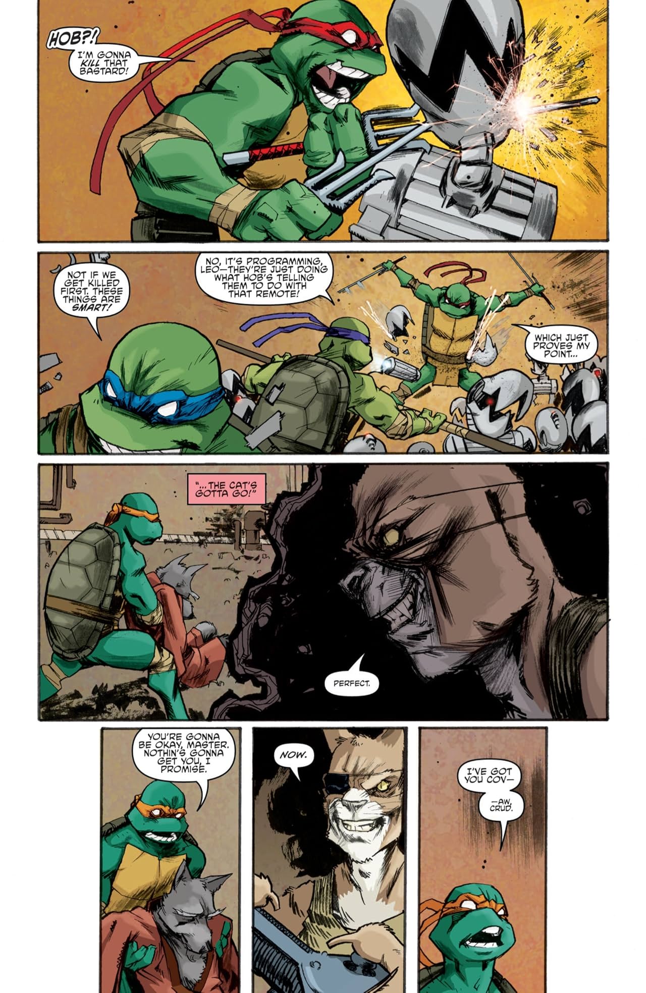 Teenage Mutant Ninja Turtles #8