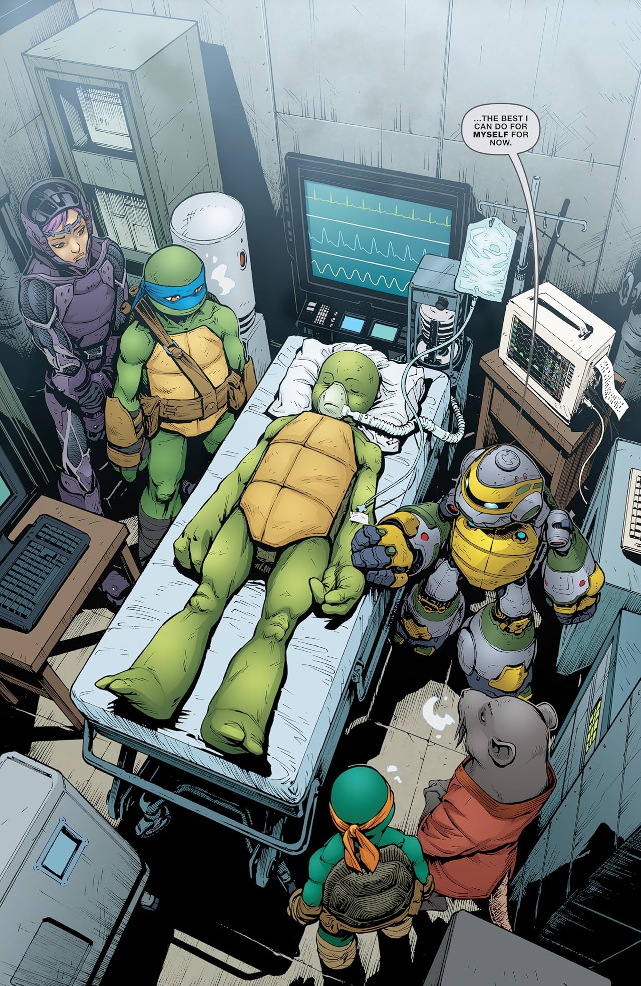 Teenage Mutant Ninja Turtles #46