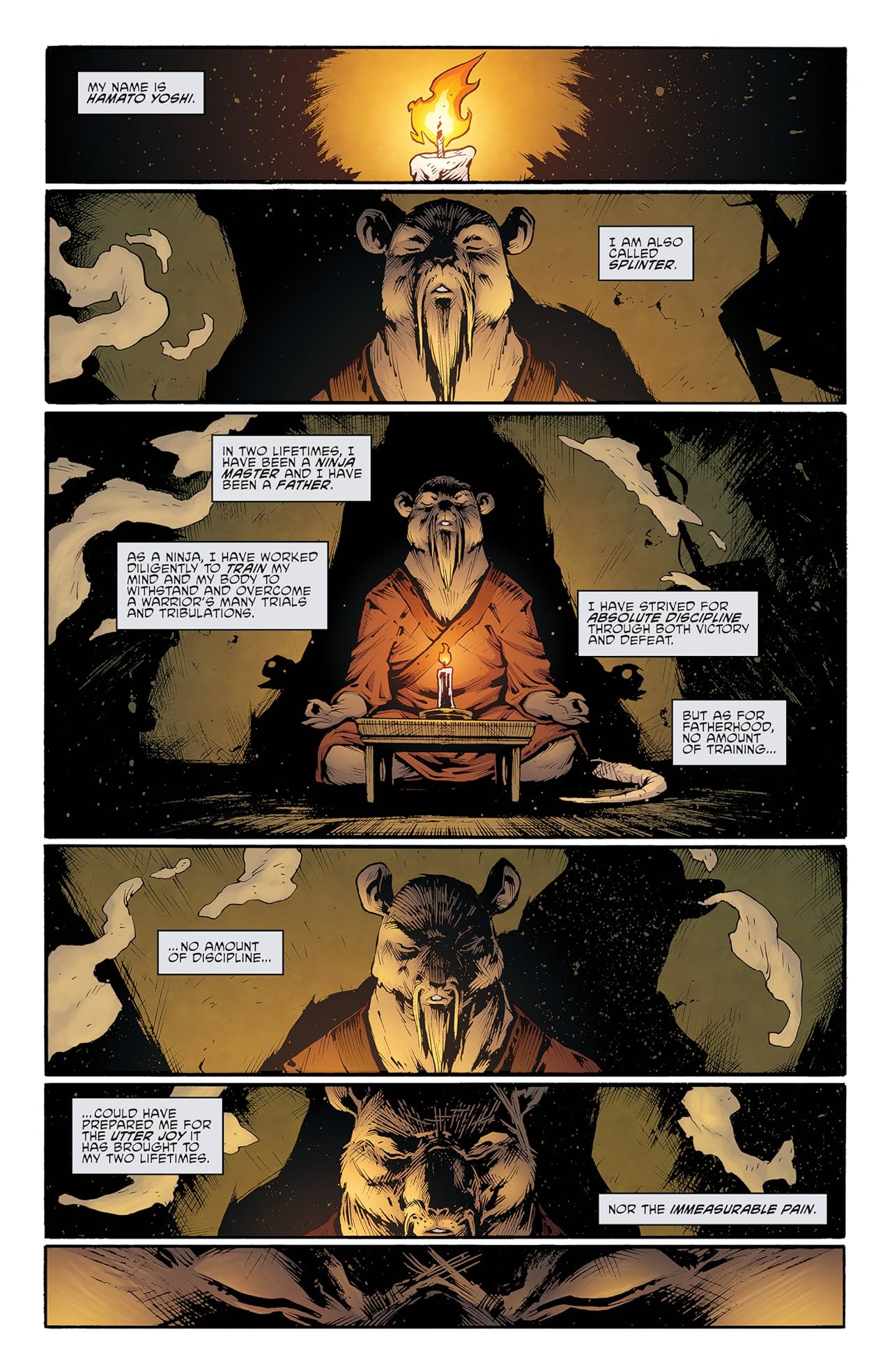 FCBD 2015 - Teenage Mutant Ninja Turtles: Prelude to Vengeance