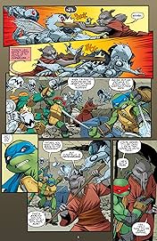 Teenage Mutant Ninja Turtles #48