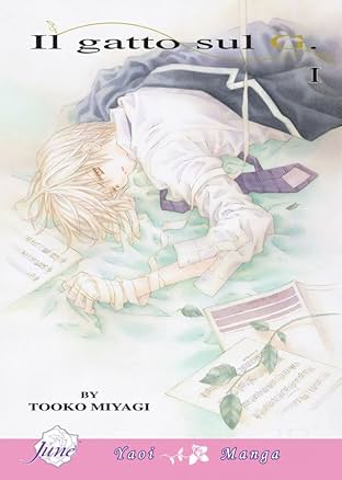 Il Gatto Sul G Vol. 1