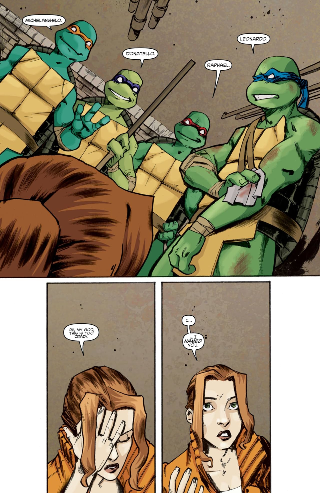 Teenage Mutant Ninja Turtles #9