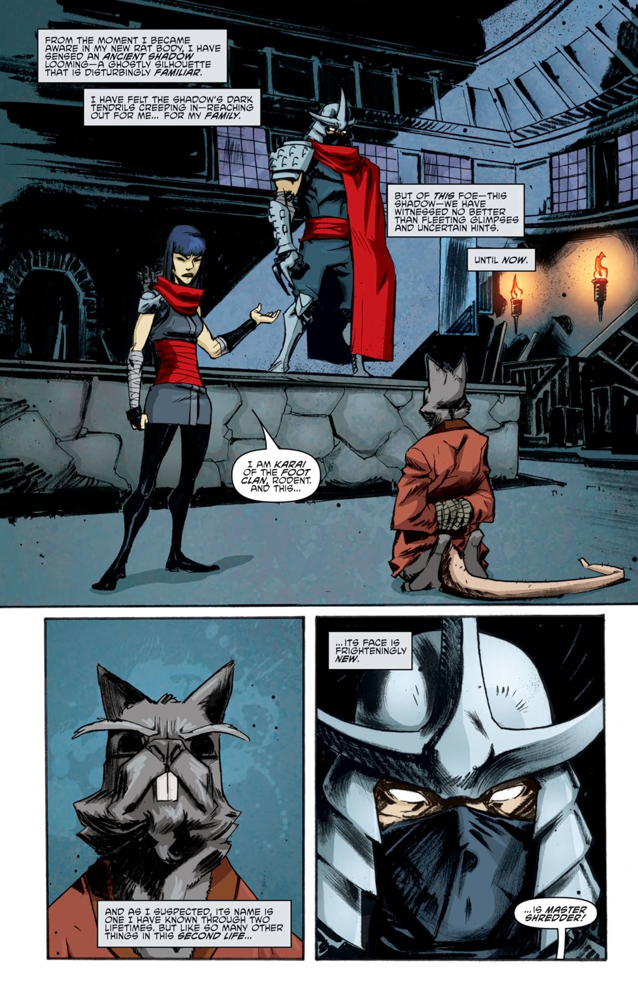 Teenage Mutant Ninja Turtles #10