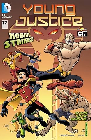 Young Justice (2011-2013) #17