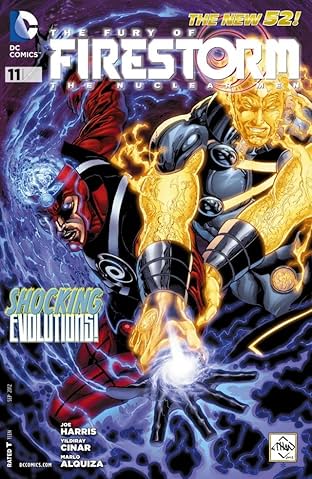 The Fury of Firestorm: The Nuclear Men (2011-2013) #11