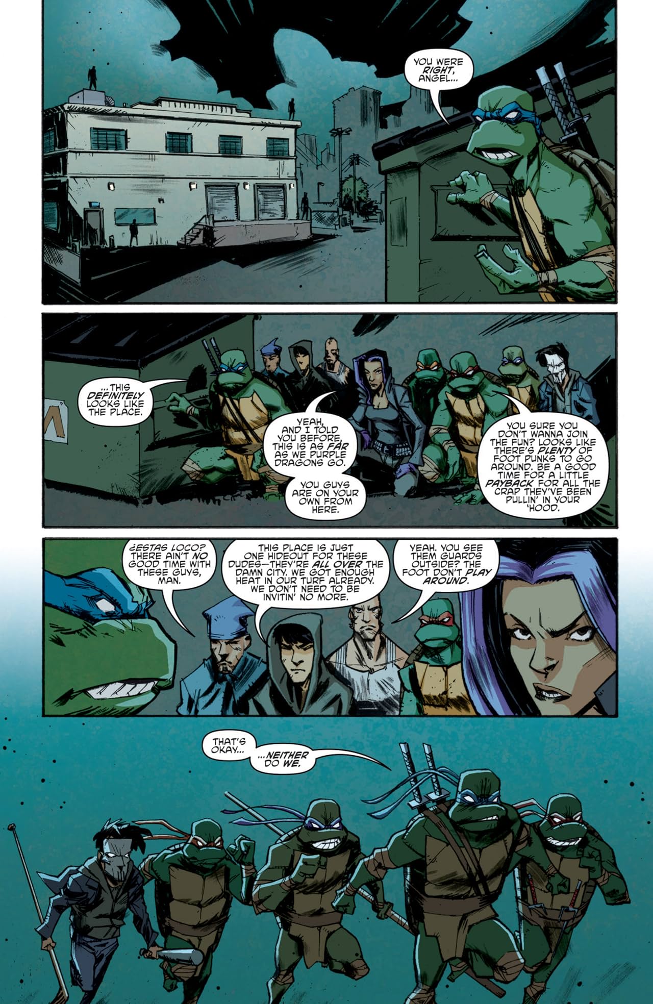 Teenage Mutant Ninja Turtles #12