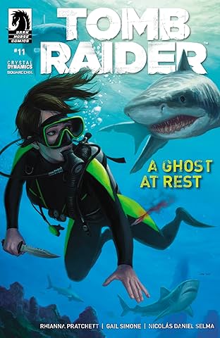 Tomb Raider #11