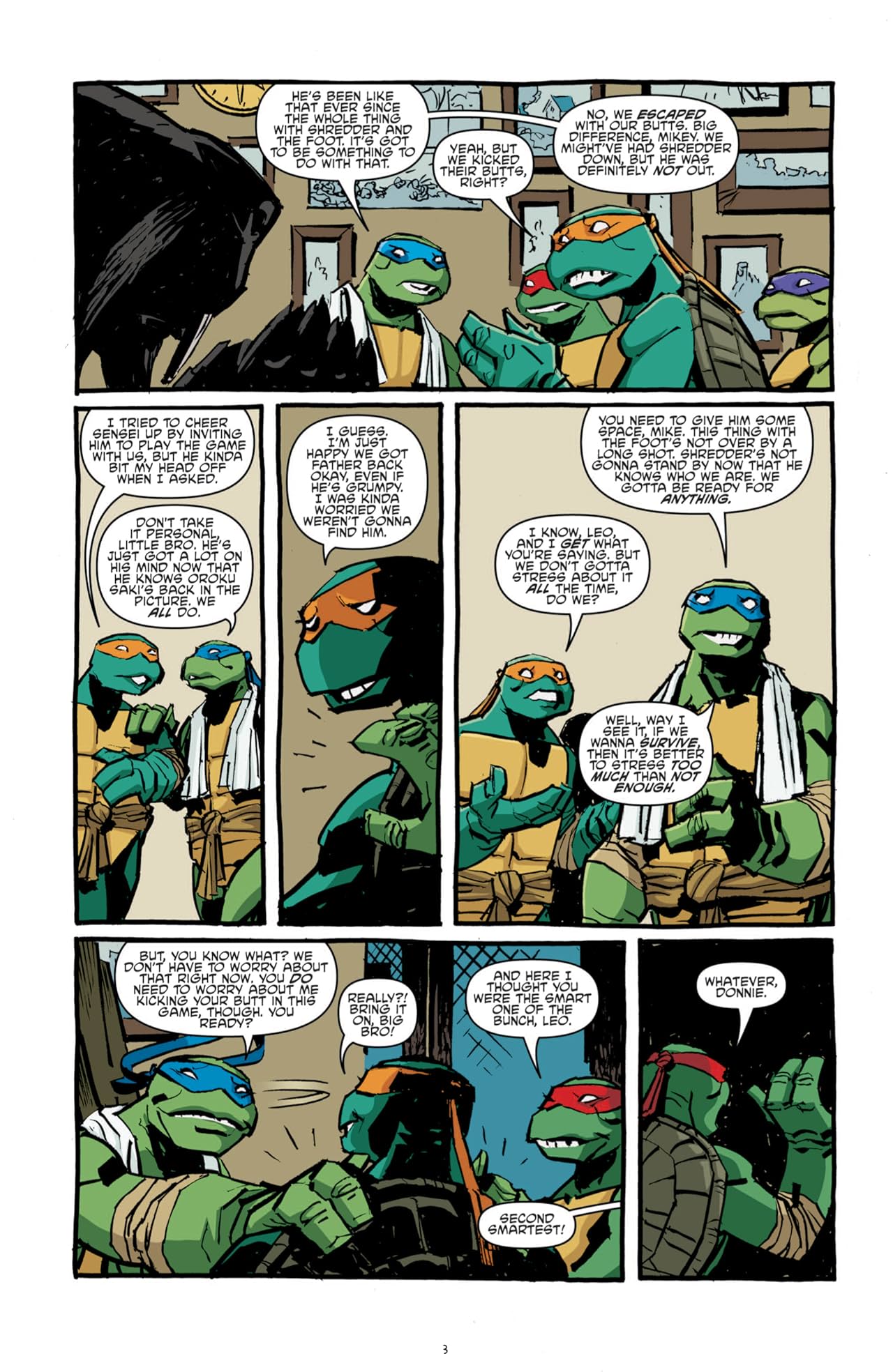 Teenage Mutant Ninja Turtles #13
