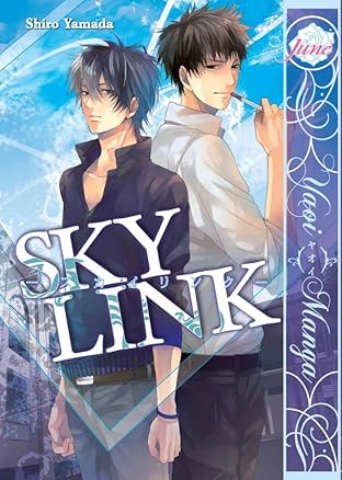 Sky Link