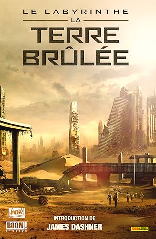Le Labyrinthe - La Terre Brûlée