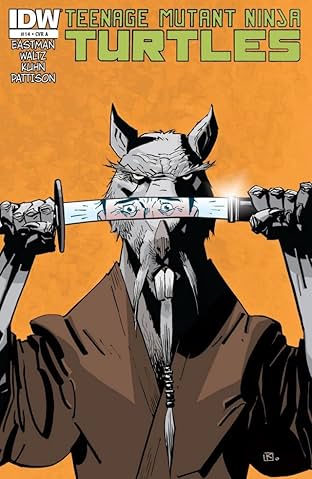 Teenage Mutant Ninja Turtles #14