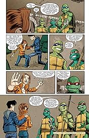 Teenage Mutant Ninja Turtles Vol. 3: Shadows of the Past