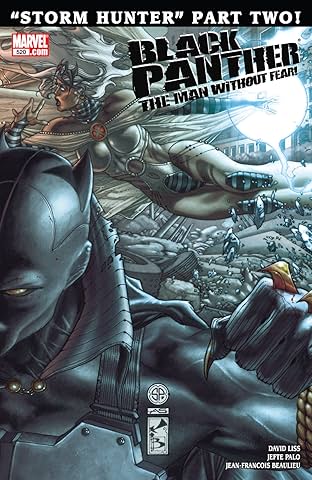 Black Panther: The Man Without Fear (2010-2012) #520