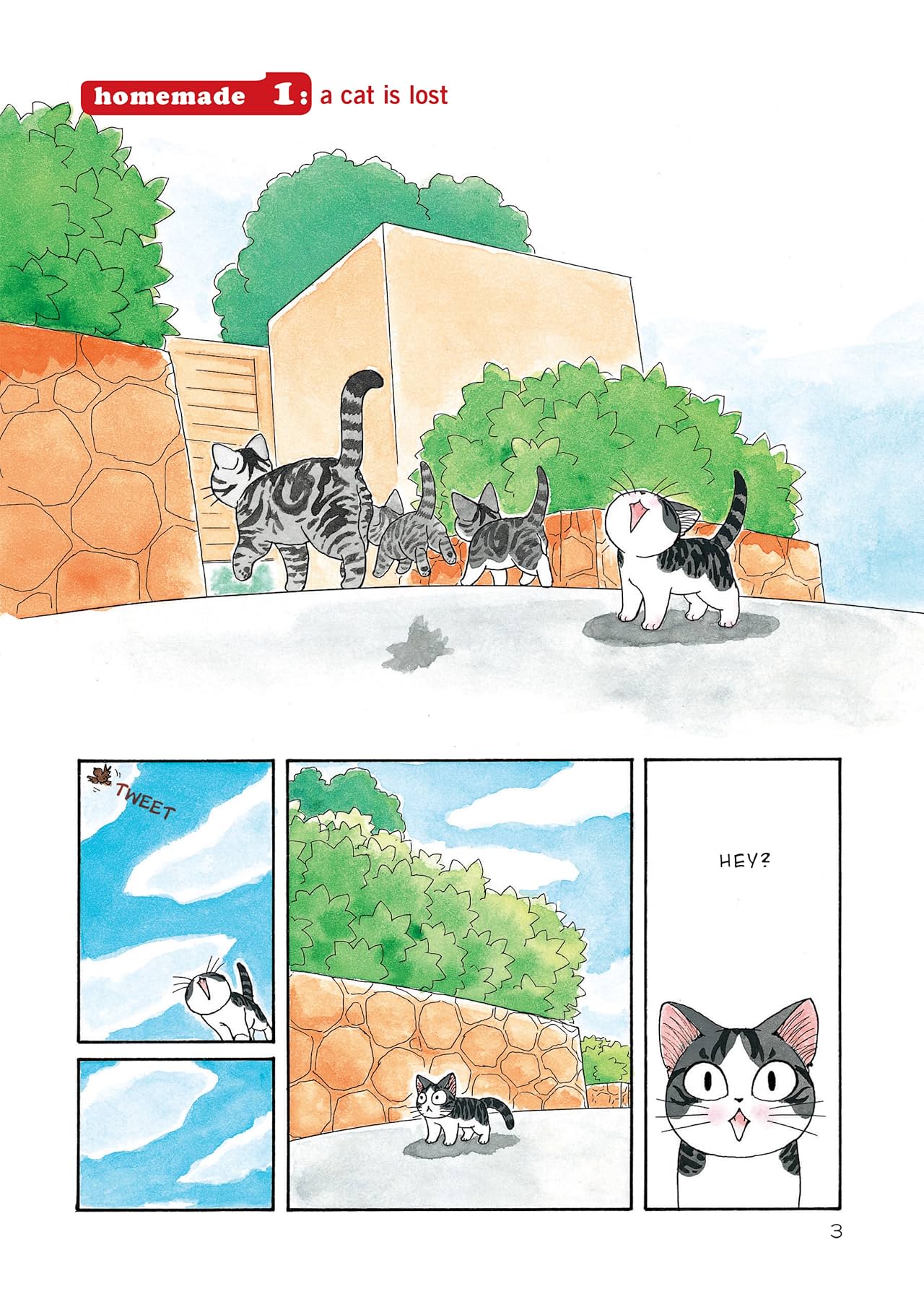 Chi's Sweet Home Vol. 1