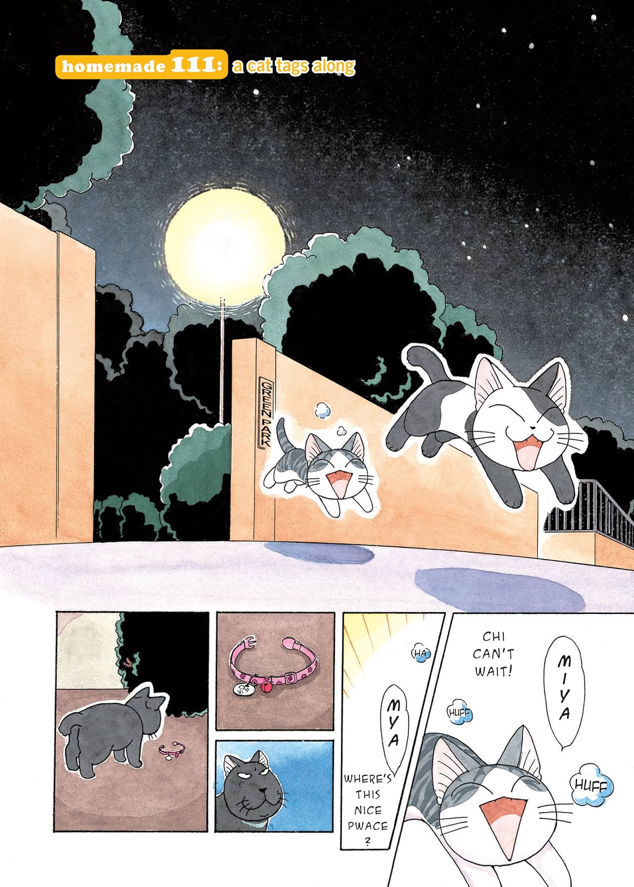 Chi's Sweet Home Vol. 7