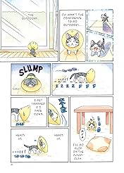 Chi's Sweet Home Vol. 9