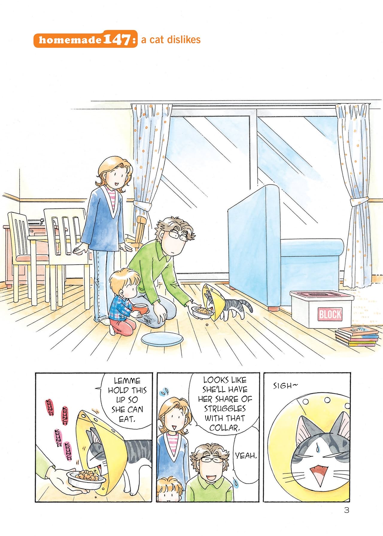 Chi's Sweet Home Vol. 9