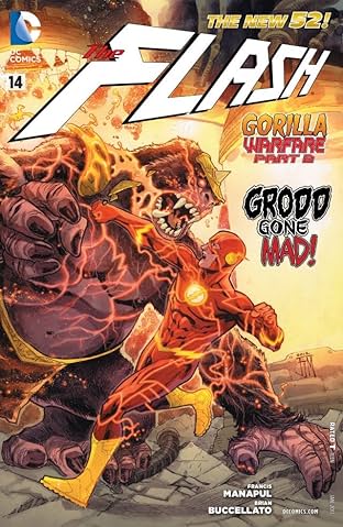 The Flash (2011-2016) #14