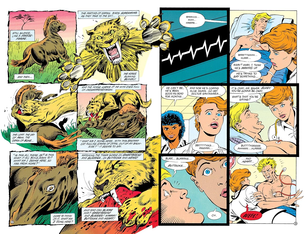 Animal Man (1988-1995) Vol. 4: Born to be Wild