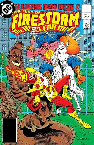 The Fury of Firestorm (1982-1990) #2