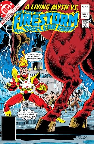 The Fury of Firestorm (1982-1990) #6