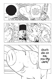 The Seven Deadly Sins Vol. 13