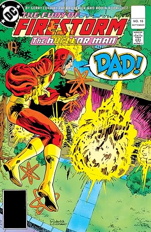 The Fury of Firestorm (1982-1990) #16