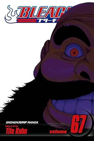 Bleach Vol. 67