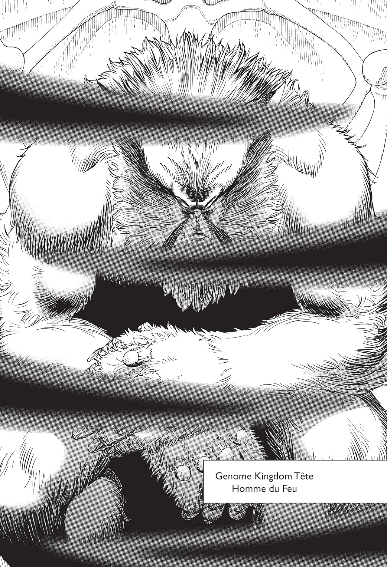 Battle Angel Alita: Last Order Omnibus Vol. 5