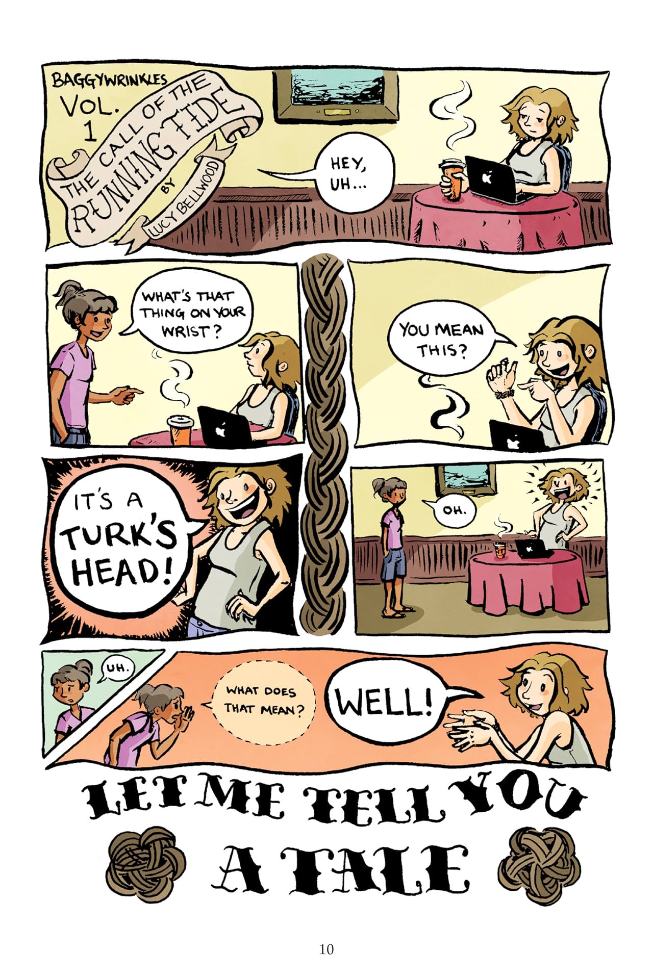 Baggywrinkles: a Lubber's Guide to Life at Sea