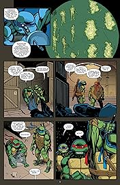 Teenage Mutant Ninja Turtles Vol. 14: Order From Chaos
