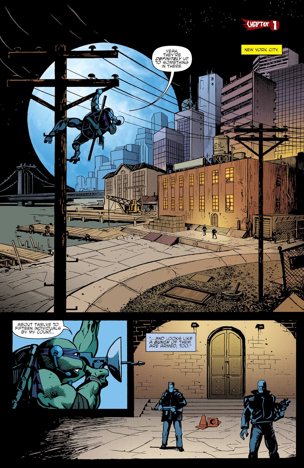 Teenage Mutant Ninja Turtles Vol. 14: Order From Chaos