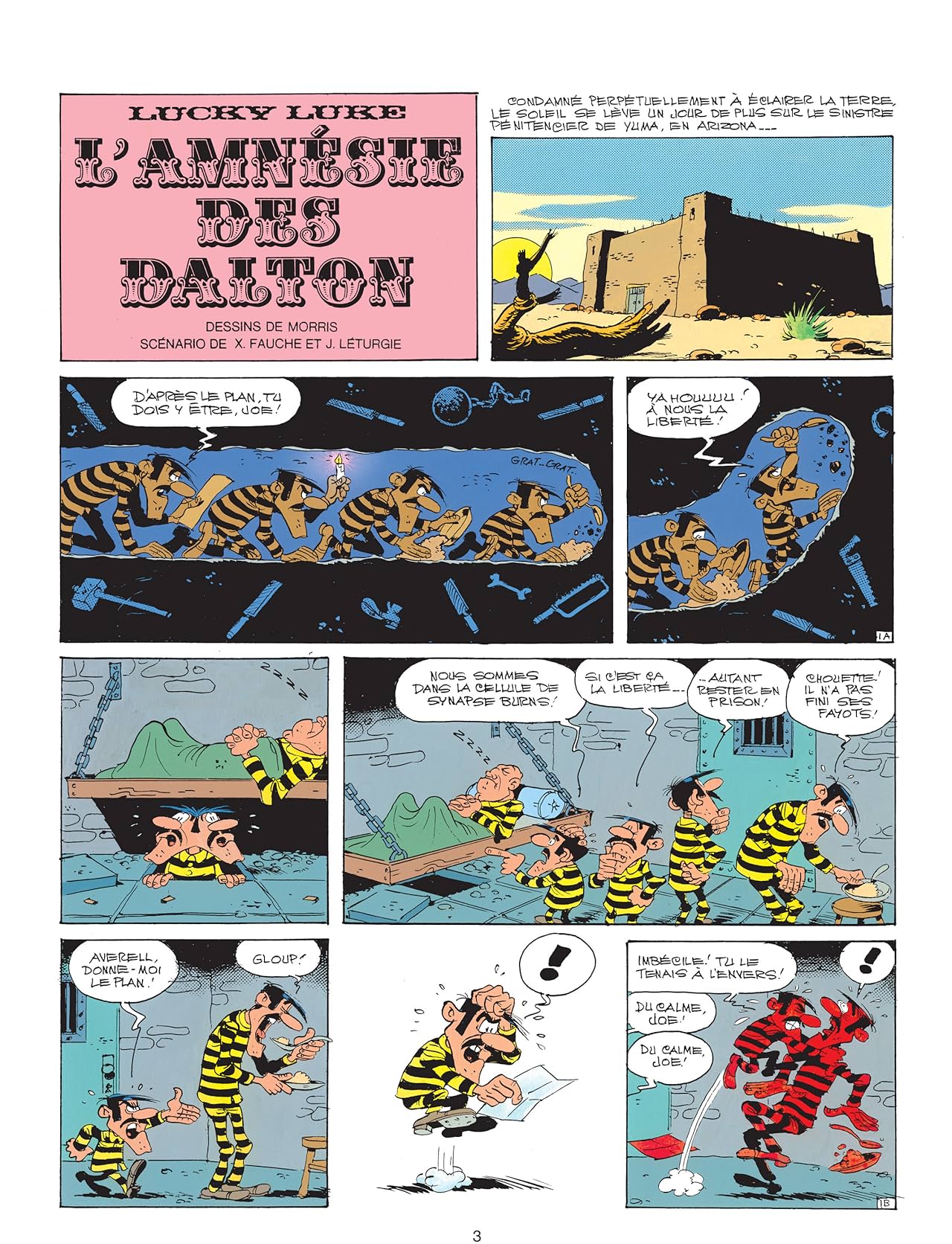 Lucky Luke Vol. 29: L'Amnésie des Dalton