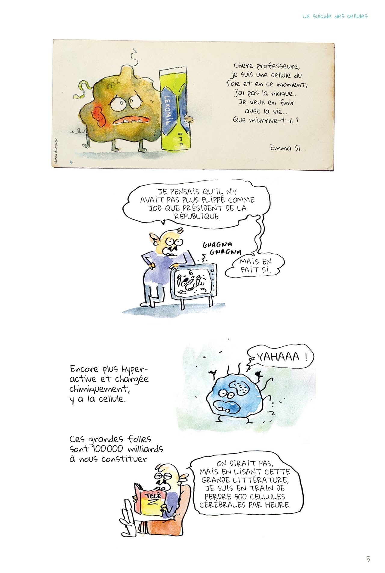 Tu mourras moins bête - Tome 2: Quoi de neuf, docteur Moustache ?